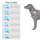 Disfraz Chucky: El Terror del Halloween para Tu Mascota - Envío Gratis