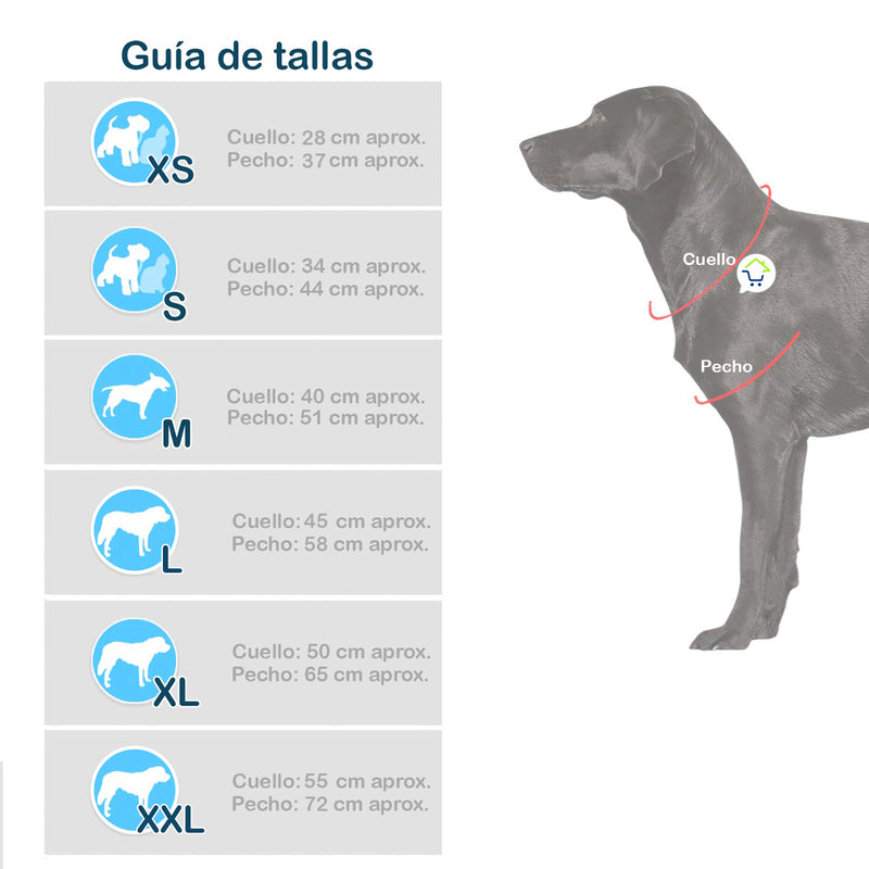 Disfraz Chucky: El Terror del Halloween para Tu Mascota - Envío Gratis